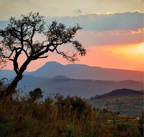 Africa
